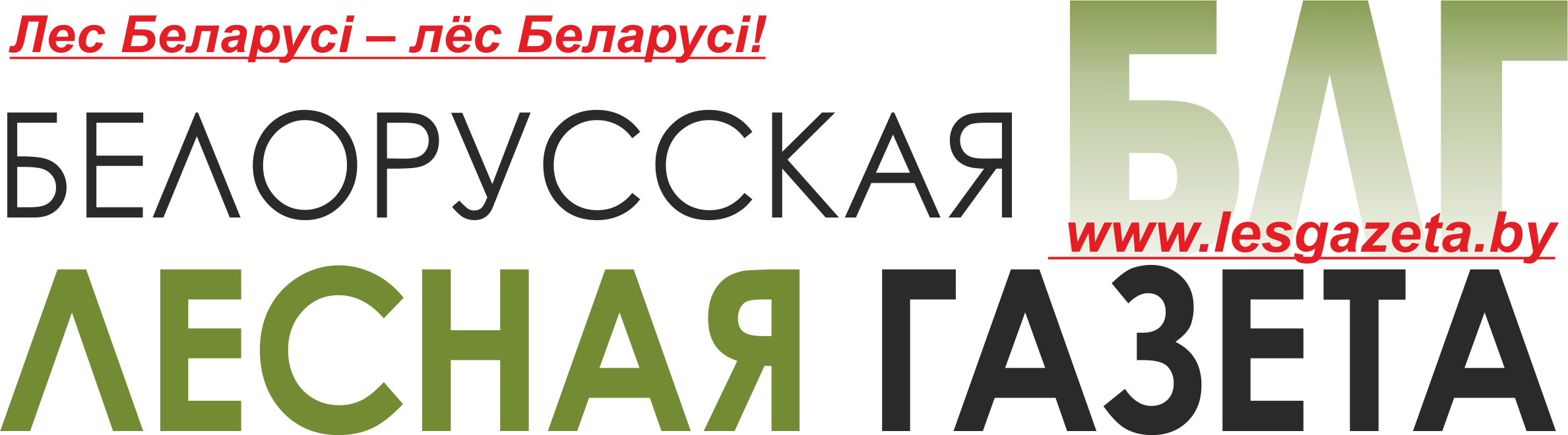 Contact Us — Белорусская БЛГ Лесная газета