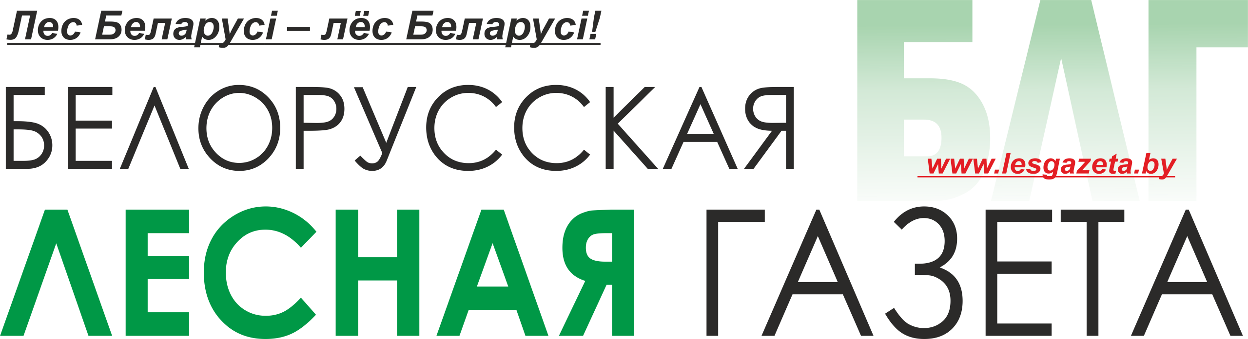 Белорусская БЛГ Лесная газета