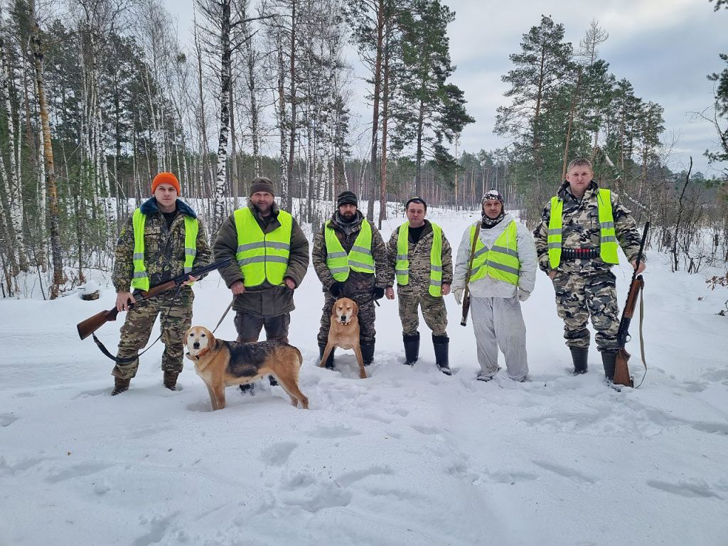 По следу зайца — Белорусская БЛГ Лесная газета