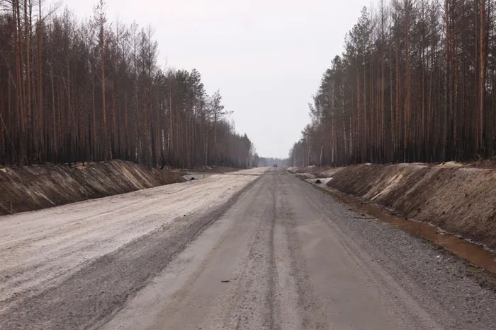 Такие качественные дороги появились в Полесском лесхозе. фото
