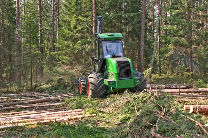 В лесопункте сконцентрирована вся лесозаготовительная техника лесхоза. фото
