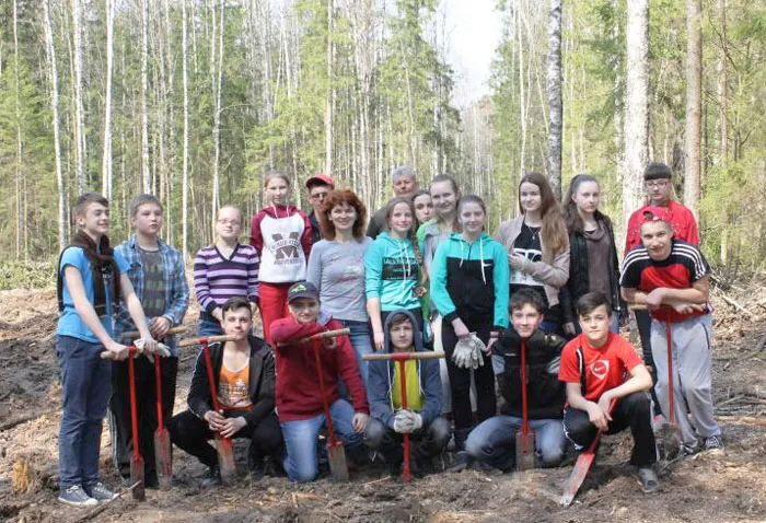 Белорусские школьники стали лидерами по посадке деревьев среди 150 стран мира. фото