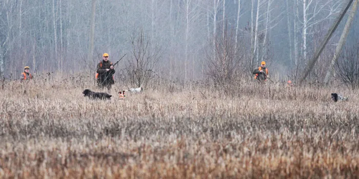 В Копыльском лесхозе развивают новый вид охоты. фото