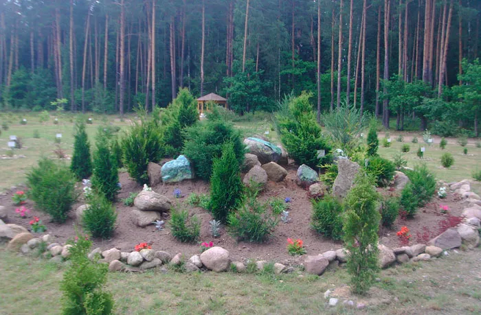 Дендрарий из редких растений. фото