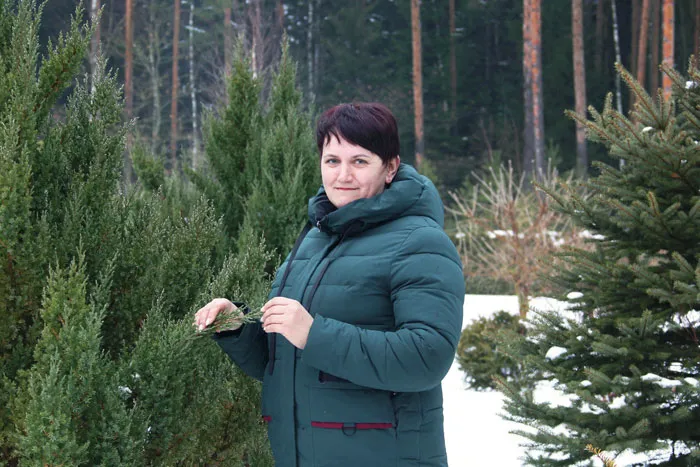 Начальник образцового лесного базисного питомника Ивьевского лесхоза Наталия ЖАМОЙТА. фото