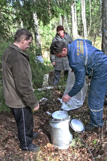 Жители Случчины забирают березовый сок прямо из леса. фото