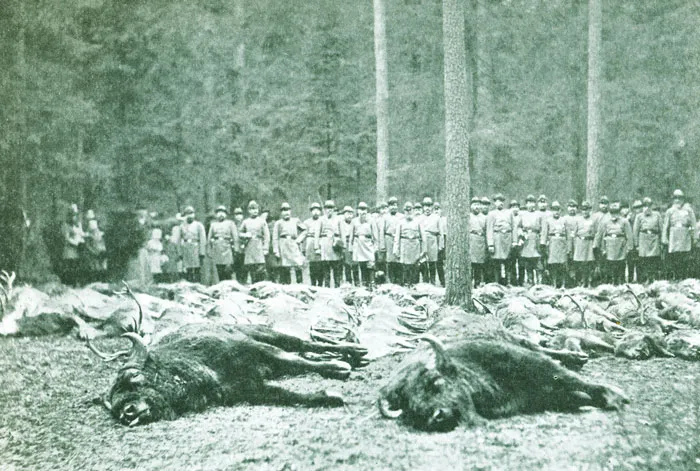 Штрек после охоты германского императора. фото