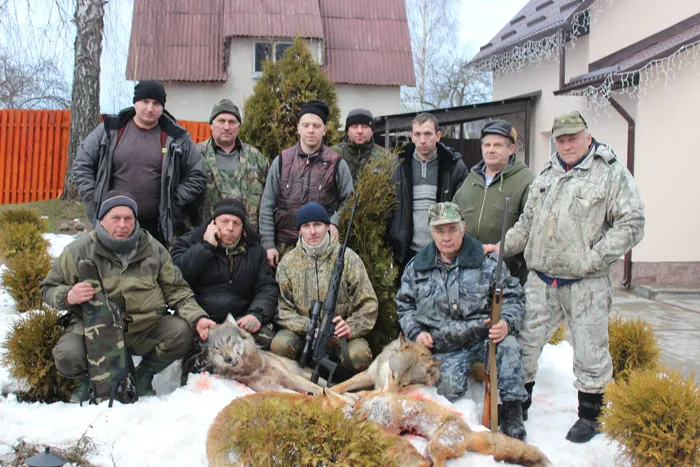 Удачная охота на волков прошла этой зимой. фото