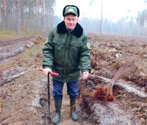 Лесник Леонид ШЕЙКО занят на посадке березы, где в будущем зашумит смешанный лес. фото