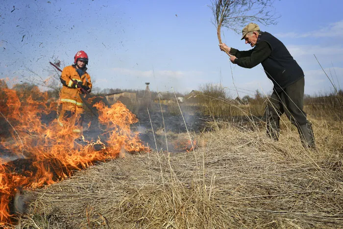 Борьба с огнем в д. Окольник. фото