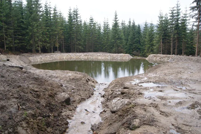 Система искусственного сдерживания воды в лесу. фото