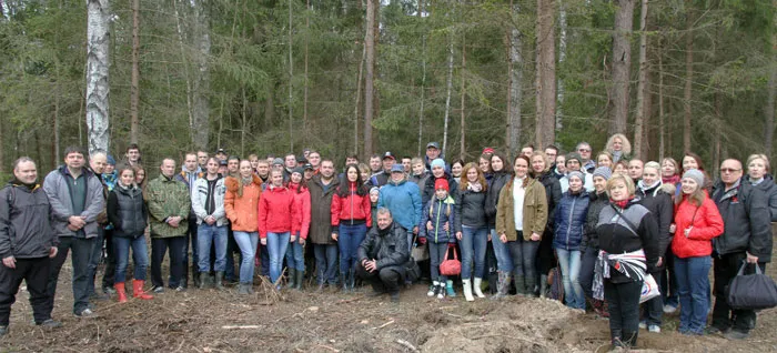 Сотрудники Министерства иностранных дел посадили около 2,5 га леса. фото