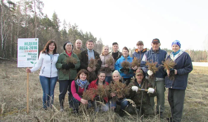 Добровольная акция «Неделя леса» вызвала большой интерес у жителей Кличева и Кличевского района. фото