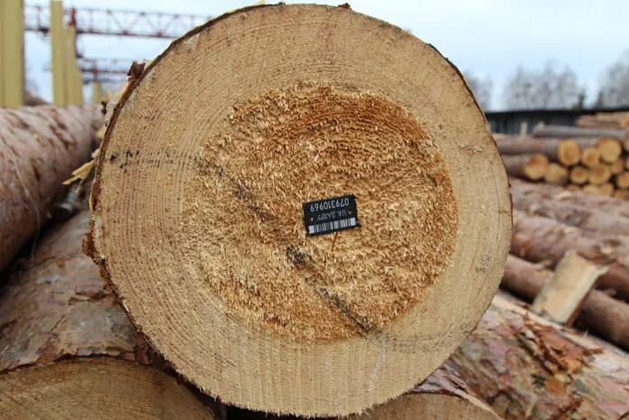 Пластмассовая бирка крепится на каждое бревно деловой древесины и по одной на пачку дров. На ней содержится информация о породности, кубатуре груза, выделе, с которого взята древесина. фото