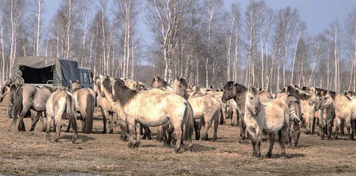 «Точно соли нет?». фото