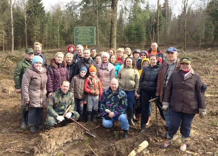 Работники аппарата Управления делами Президента Республики Беларусь 8 апреля создали 4,4 га лесных культур в ГЛХУ «Красносельское». фото