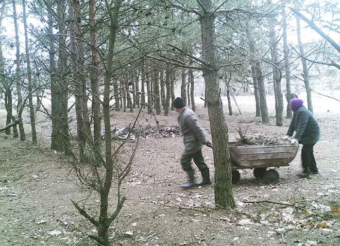Фотоловушка поймала нарушителей, выбрасывающих мусор в Кобринском опытном лесхозе. фото