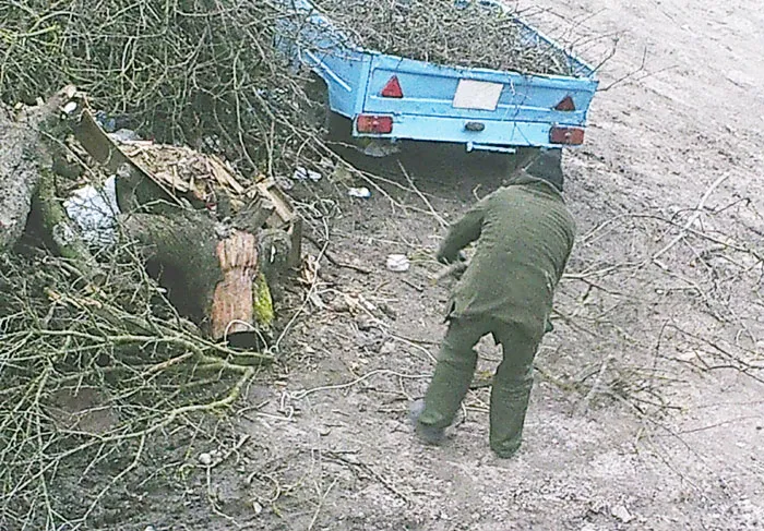 Фотоловушка поймала нарушителей, выбрасывающих мусор в Кобринском опытном лесхозе. фото