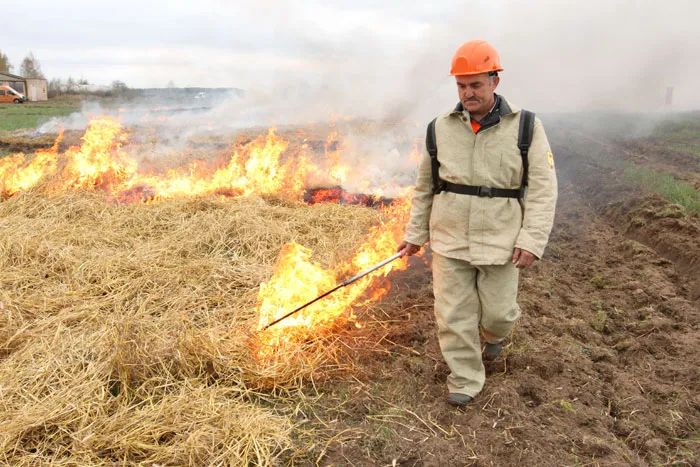 Отжиг — один из самых эффективных способов борьбы с огнем. фото
