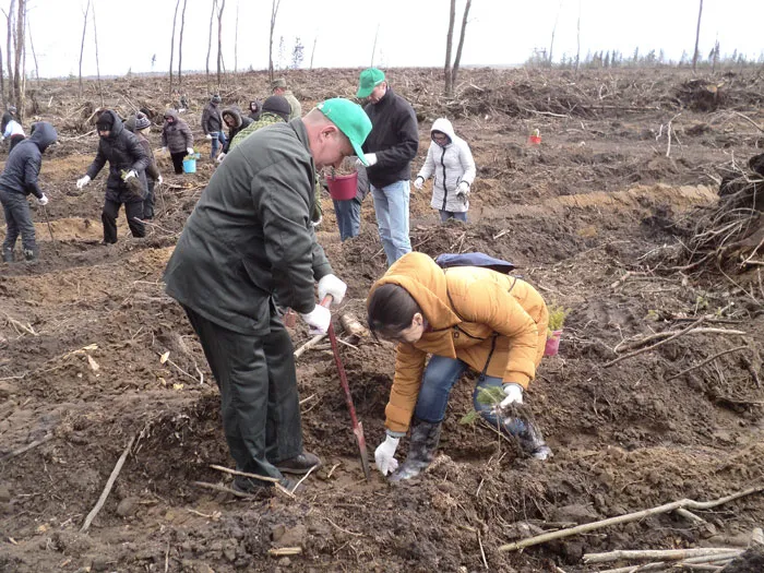 Сотрудники аппарата Министерства лесного хозяйства Республики Беларусь приняли активное участие в республиканском субботнике. фото