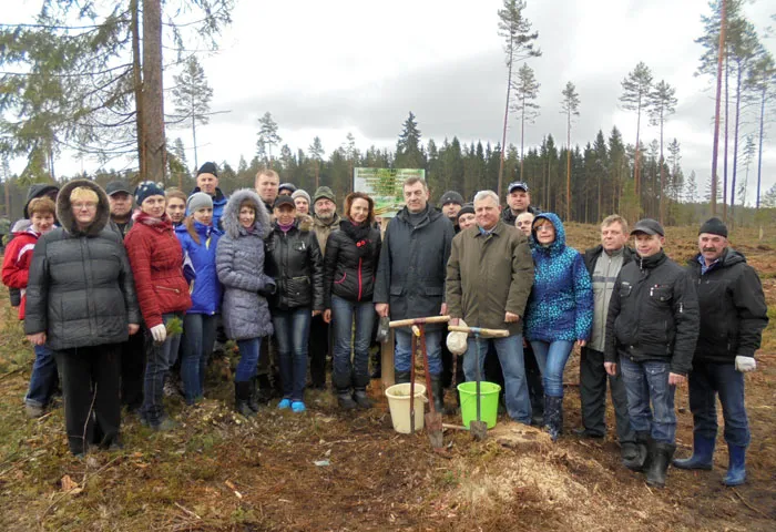 Сотрудники аппарата концерна «Беллесбумпром» в день республиканского субботника посадили памятный лес на площади 4,4 га. фото