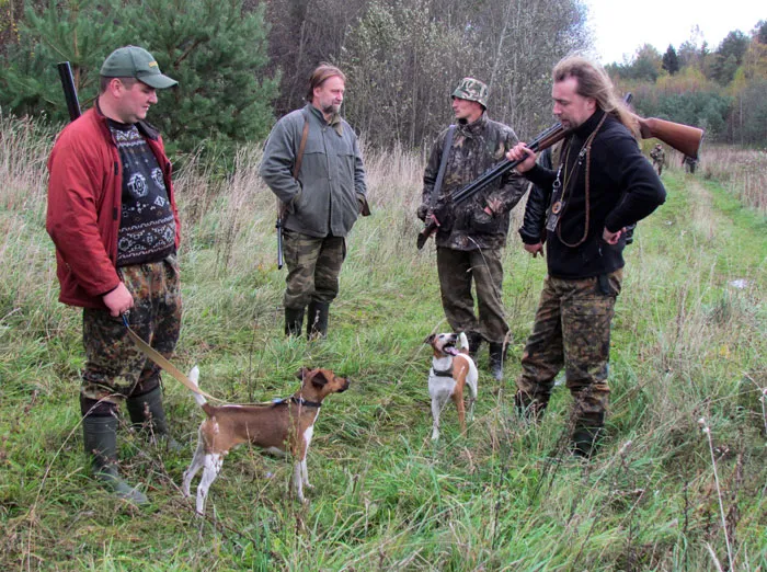 Новая программа развития охотничьего хозяйства станет руководством к действию для ведомств и охотпользователей. фото