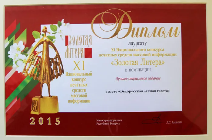Для «Белорусской лесной газеты» это уже вторая высокая награда профессионального жюри. фото