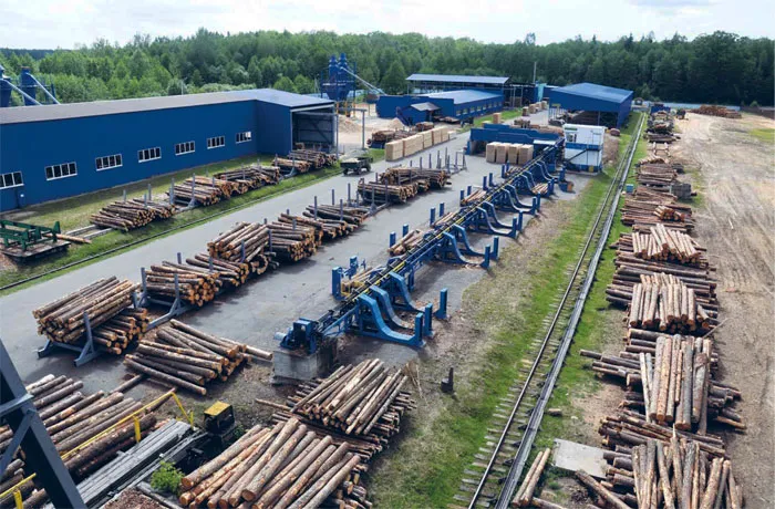 В цехе деревообработки ГОЛХУ «Осиповичский опытный лесхоз» в месяц перерабатывается 3,5 тыс. кубометров круглых лесоматериалов. Выпуск готовой продукции составляет порядка 2 тыс. кубометров. фото