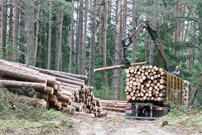 С 2009 года в ГЛХУ «Гродненский лесхоз» начал работать комплекс лесозаготовительных машин. фото
