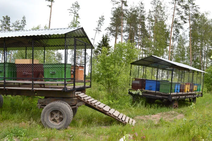 Пчеловоды делились опытом в Крупском лесхозе. фото