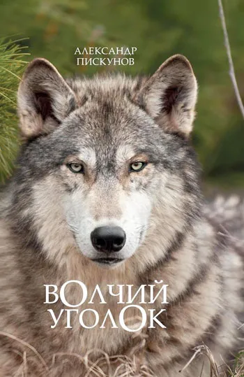 Вышла в свет новая книга Александра Пискунова «Волчий уголок». фото