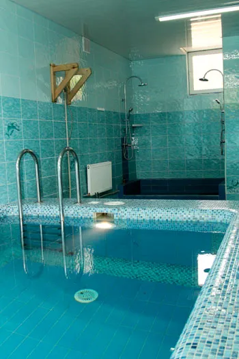 Сегодня на территории комплекса имеется также баня с парилкой, отличным бассейном и бильярдом. фото