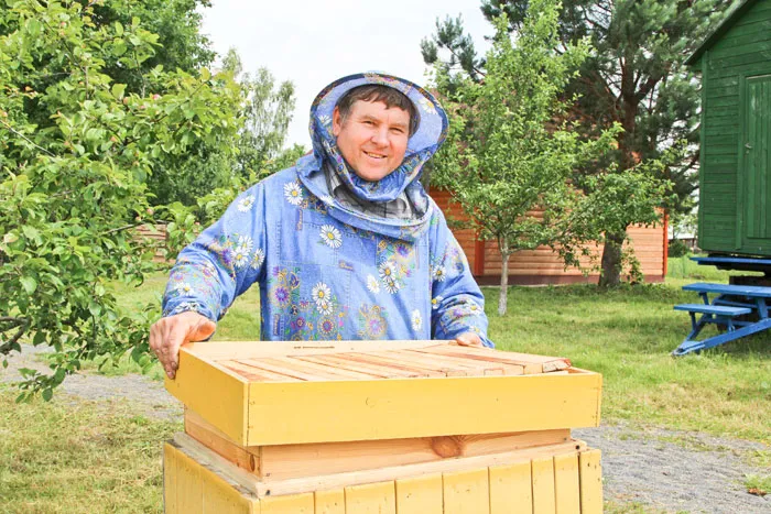 В лесхозах Беларуси началась откачка товарного меда
