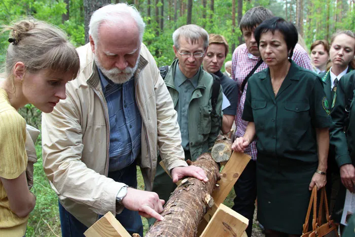 Полевой эксперимент: лесопатологи ставят диагноз больным деревьям. фото