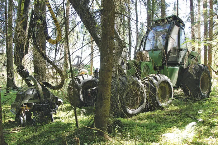 В Бегомльском лесхозе отработаны все аспекты организации работы лесопункта. фото