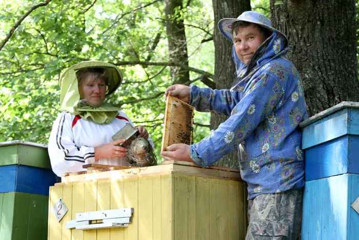 Пчеловоды Старицкого лесничества намерены получить не менее 20 килограммов меда с каждой пчелосемьи. фото