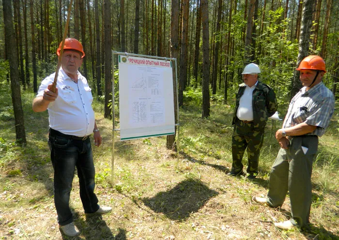 В Речицком опытном лесхозе прошел обучающий семинар с молодыми мастерами леса. фото