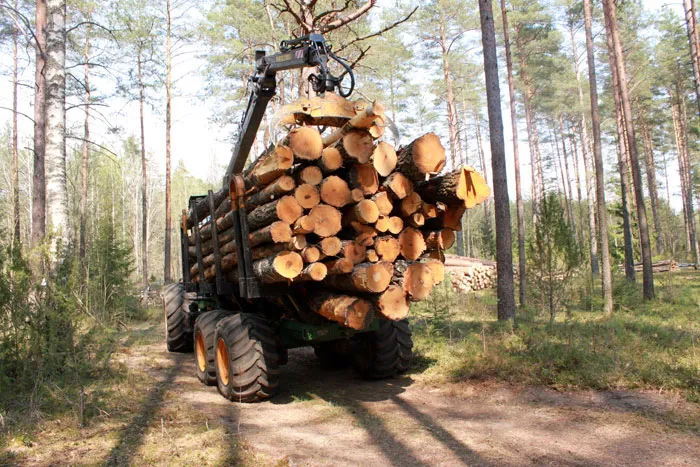 При планировании лесохозяйственных дорог учитывается возможный объем заготовки древесины