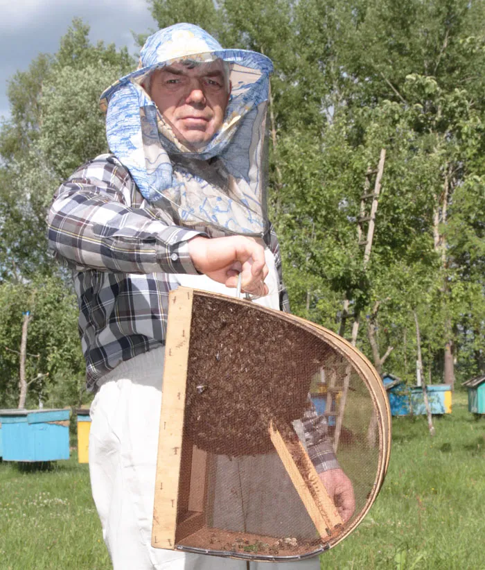 Сергей Гайчук трудится пчеловодом в Вилейском опытном лесхозе. фото