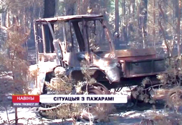 Виновники крупного пожара в Полесском лесхозе стали заложниками своей беспечности. фото