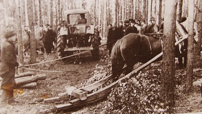 Связь времен. фото