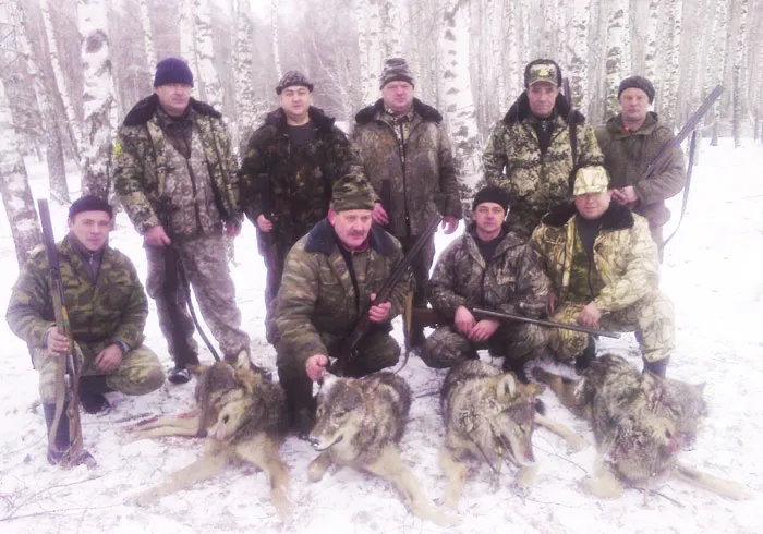 В Лельчицком лесхозе провели охоту на волков с флажками. фото