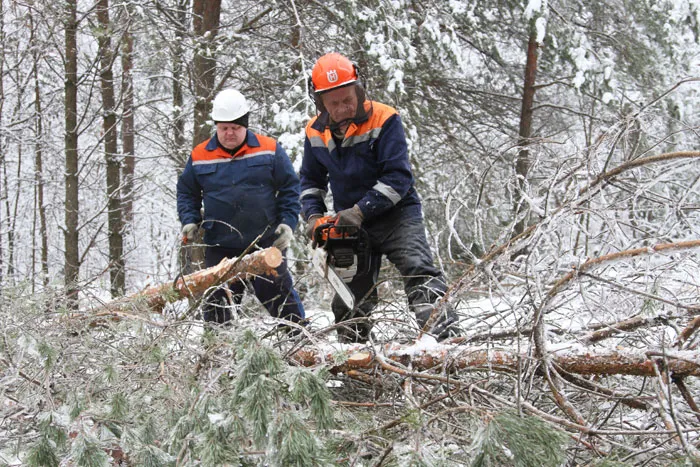Работники отрасли оперативно устранили последствия сильного снегопада. фото