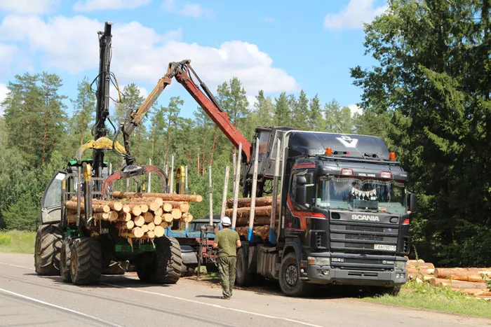 Работники из лесхозов всех областей прибыли в Червенский лесхоз на лик­видацию последствий стихии. фото