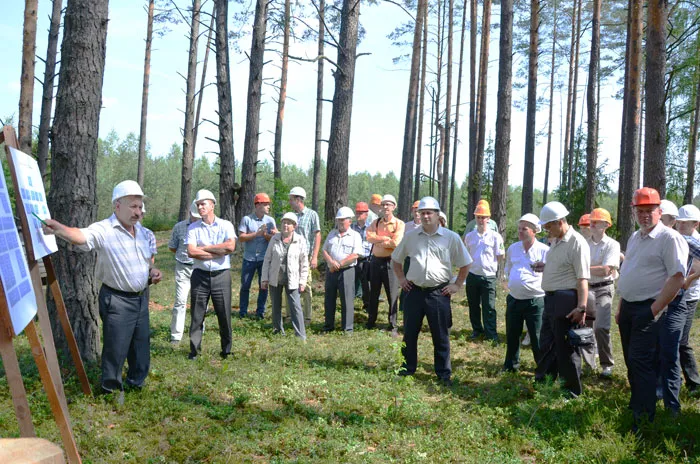 Семинар по созданию безопасных условий труда на лесосеках прошел недавно на базе Быховского лесхоза. фото