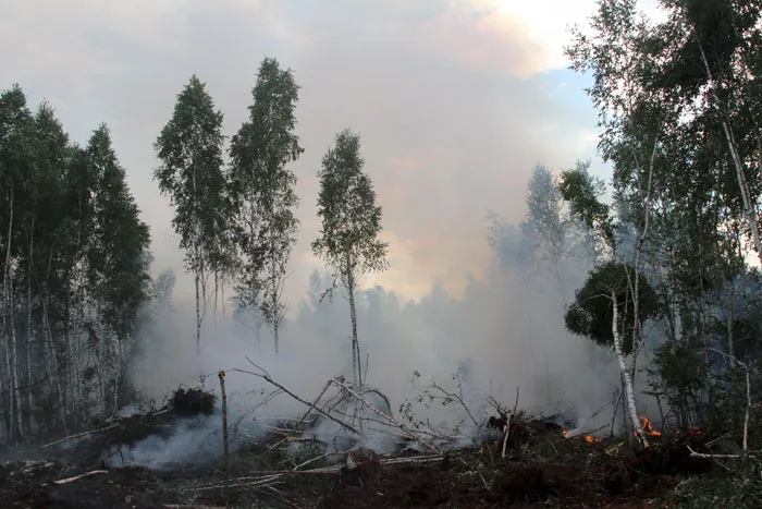 Как шла борьба с огненной стихией в Осиповичском районе. фото