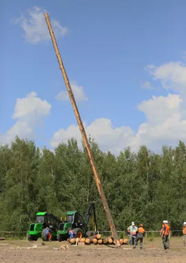 В Бресте определили лучших вальщиков Беларуси. фото