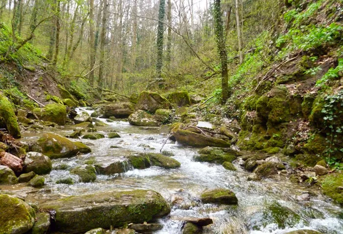  Маршрут "Живая вода" ведет к чистым белорусским родникам. фото