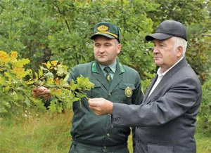 Лесничий Споровского лесничества Андрей ПАШКЕВИЧ и председатель сельисполкома Александр МАРТЫСЕВИЧ осматривают посадку молодых дубков и кленов. фото