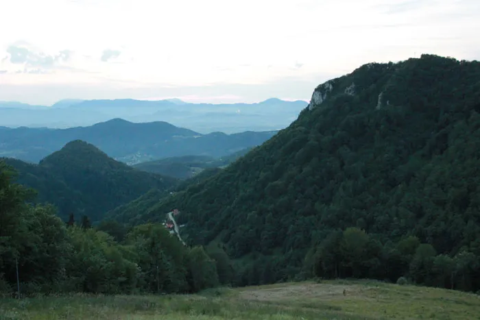 Леса в Словении произрастают в основном на склонах гор. фото
